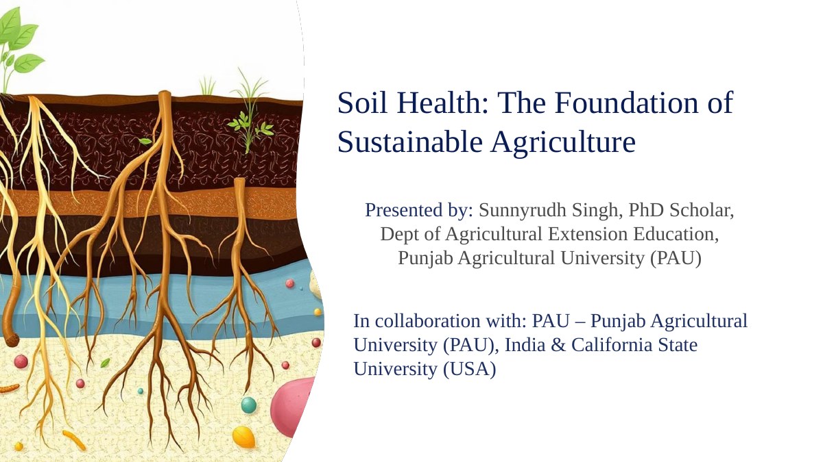 Punjab field research